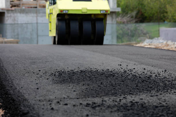 Best Driveway Pavers Near Me  in Bloomfield, NM
