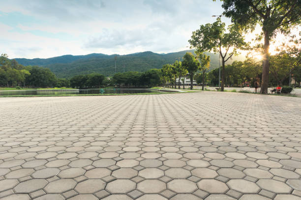 Best Driveway Pavers Contractor  in Bloomfield, NM